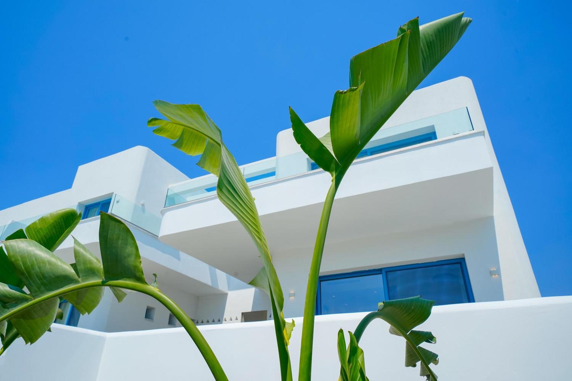 Narciso Thassos Luxury Suites Órmos Prínou Zewnętrze zdjęcie